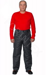 Фото спецодежда зимняя брюки мужские тн мод. &#34;графит&#34; ООО Форинтекс